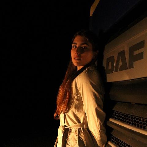 【色图】淫荡少女大半夜的在公路上裸露拦车