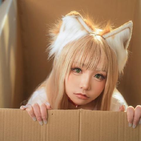 【色图】谁来领养这只小猫咪